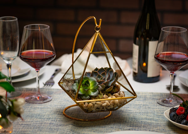 Geometric Hanging Terrarium