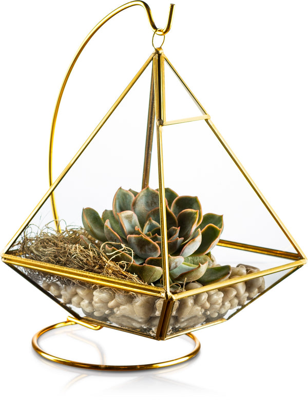 Geometric Hanging Terrarium